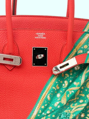 Hermès Birkin 35cm | “Saree & Ashoka Chakra” Togo Leather with Pallaidium Hardware